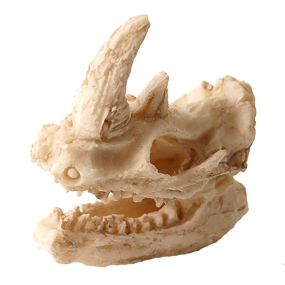 노모펫 공룡해골 장식품 (NS-90)