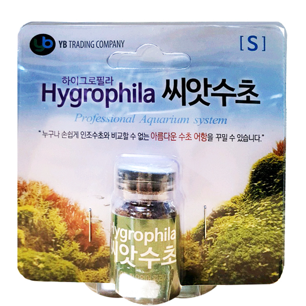 YB 하이그로필라 씨앗수초 [S]