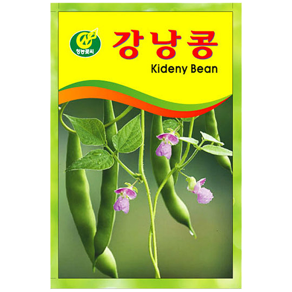 강낭콩 씨앗 (2g)-꽃씨 키우기 텃밭 자연관찰 교재용