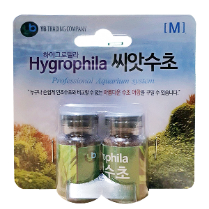[득템] YB 하이그로필라 씨앗수초 [M]