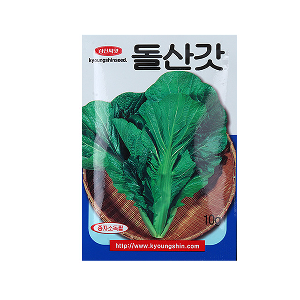 미미네가든 돌산갓 씨앗 (10g) -텃밭 채소 키우기