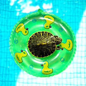 미미네아쿠아 거북이전용 튜브 (초록) 놀이터, 쉼터