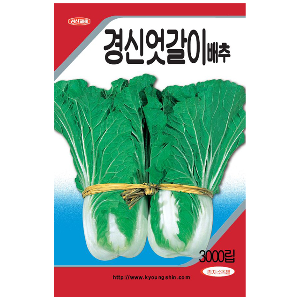 경신 엇갈이배추 씨앗 (3000립)-텃밭 종자 키우기