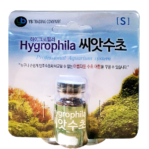 [득템] YB 하이그로필라 씨앗수초 [S]
