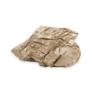 조경스톤 조경석 리얼 거북무늬석 1kg 전후(모양랜덤)