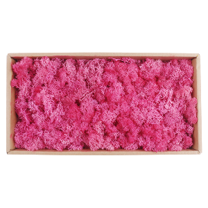 가습효과 자연 천연 이끼모스 핑크색 1박스 (500g)