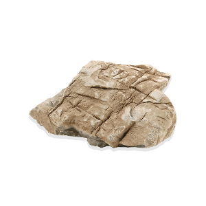 미미네스톤 리얼 거북무늬석 1kg 전후(크기모양랜덤)