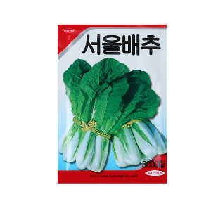 미미네가든 서울배추 씨앗(3000립) - 채소 키우기
