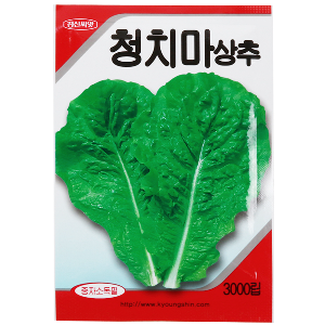 청치마 상추 씨앗(3000립)-텃밭 종자 쌈채소 키우기