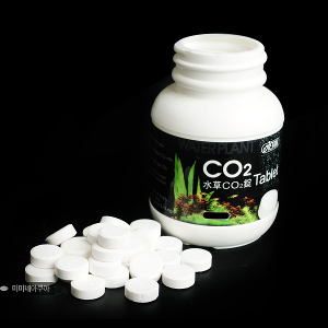 이스타 CO2 타블렛 100정 - (정제형이탄 광합성)