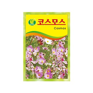 미미네아쿠아 꽃씨 키우기 - 코스모스 씨앗